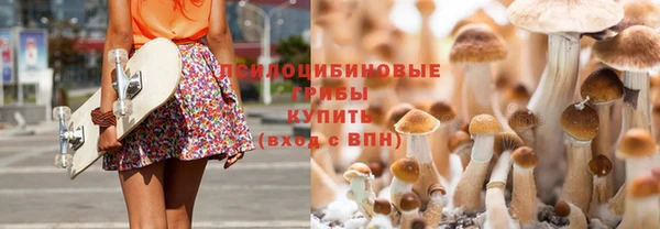 прущая мука Армянск