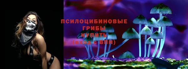 прущая мука Армянск